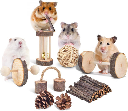 ERKOON 11 Pack Chinchillas Chew Toys, Toys Accessories for Teeth Care, Natural Apple Wood Ladder Bell Roller for Russian Hamster Gerbils Rats Guinea Pigs (11PCS)6