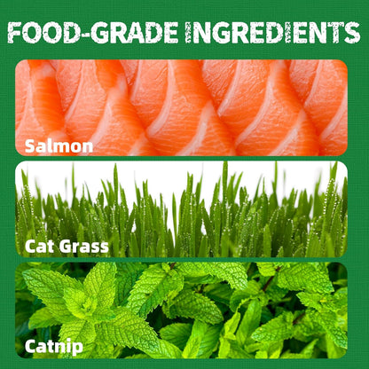 Just Try Cat Treats for Indoor Cats Hairball Control Natural Salmon Healthy Cat Grass Treats Kitten Snacks Training Biscuits Catnip for Cats Dental Care 13.4 OZ4