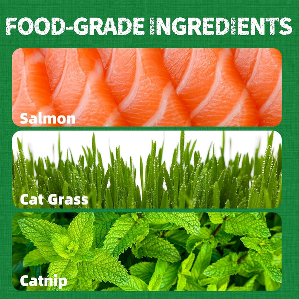 Just Try Cat Treats for Indoor Cats Hairball Control Natural Salmon Healthy Cat Grass Treats Kitten Snacks Training Biscuits Catnip for Cats Dental Care 13.4 OZ4