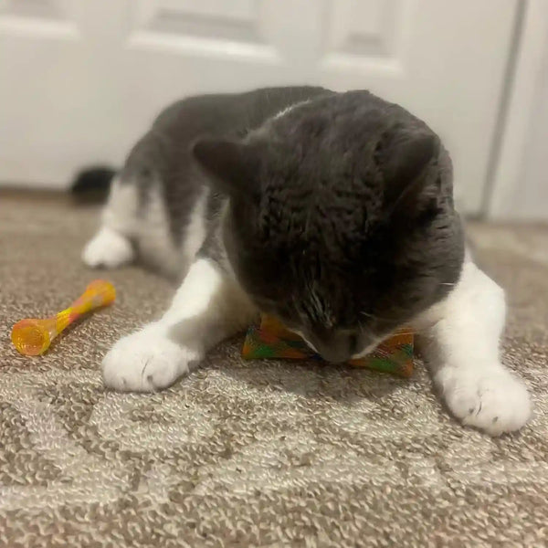 SPOT Kitty Fun Tubes Cat Toy with Catnip inside | Bouncy Interactive Mesh Toy for Cats and Kittens to Bite, Swat and Chase | 3 Pieces10
