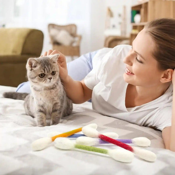 6 PCS Swabs Cat Toys with Catnip,Cat Qtip Toy,Cotton Swabs Cat Toys with Catnip,Durable for Chew,Interactive Kitty Kick Sticks for Cat Lovers Gift,Sturdy Teething Chew Toy (Colorful)5