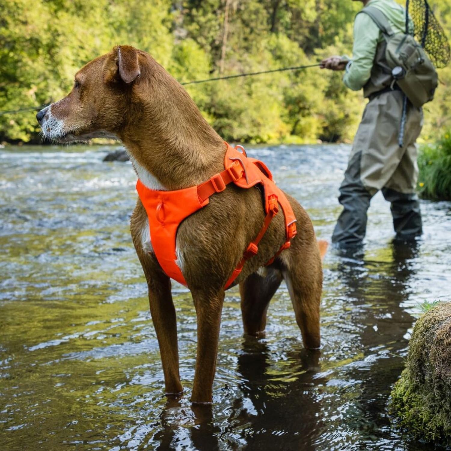 ruffwear-web-master-multi-use-support-dog-harness-hiking-and-trail-running-service-and-working-everyday-wear-basalt-gray-x-small