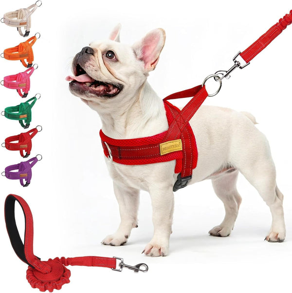 BEAUTYZOO Dog Harness No Pull, Quick Fit Dog Harness and Leash Set, Escape Proof Vest Harness with Soft Handle, Reflective Breathable Mesh Padding Harness for Medium Size Dog Training Walking, Beige M30