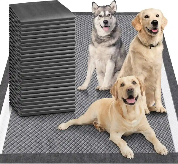 Three happy dogs on gray textured pet pads, ideal for training and daily use.8