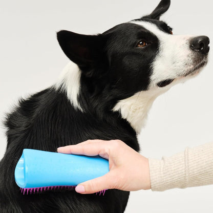Pet Teezer De-Shedding Dog Brush for Long Hair Breeds, Large, Blue & Pink | Dog Grooming Tool with Patented Two-Tier Teeth Reaches the Undercoat for Thick, Double-Coated Dogs & Wet or Dry Fur3