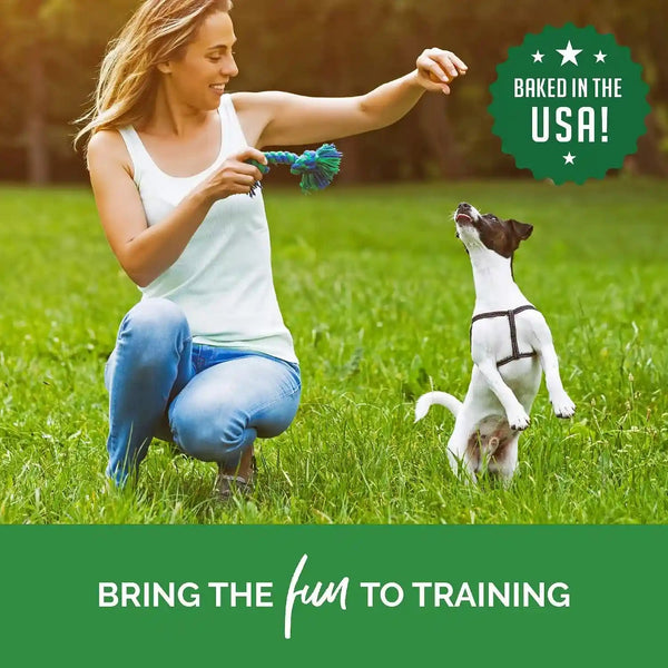 Buddy Biscuits Trainers Training Bites Soft & Chewy Dog Treats, Chicken, 10 Oz. Pouch7