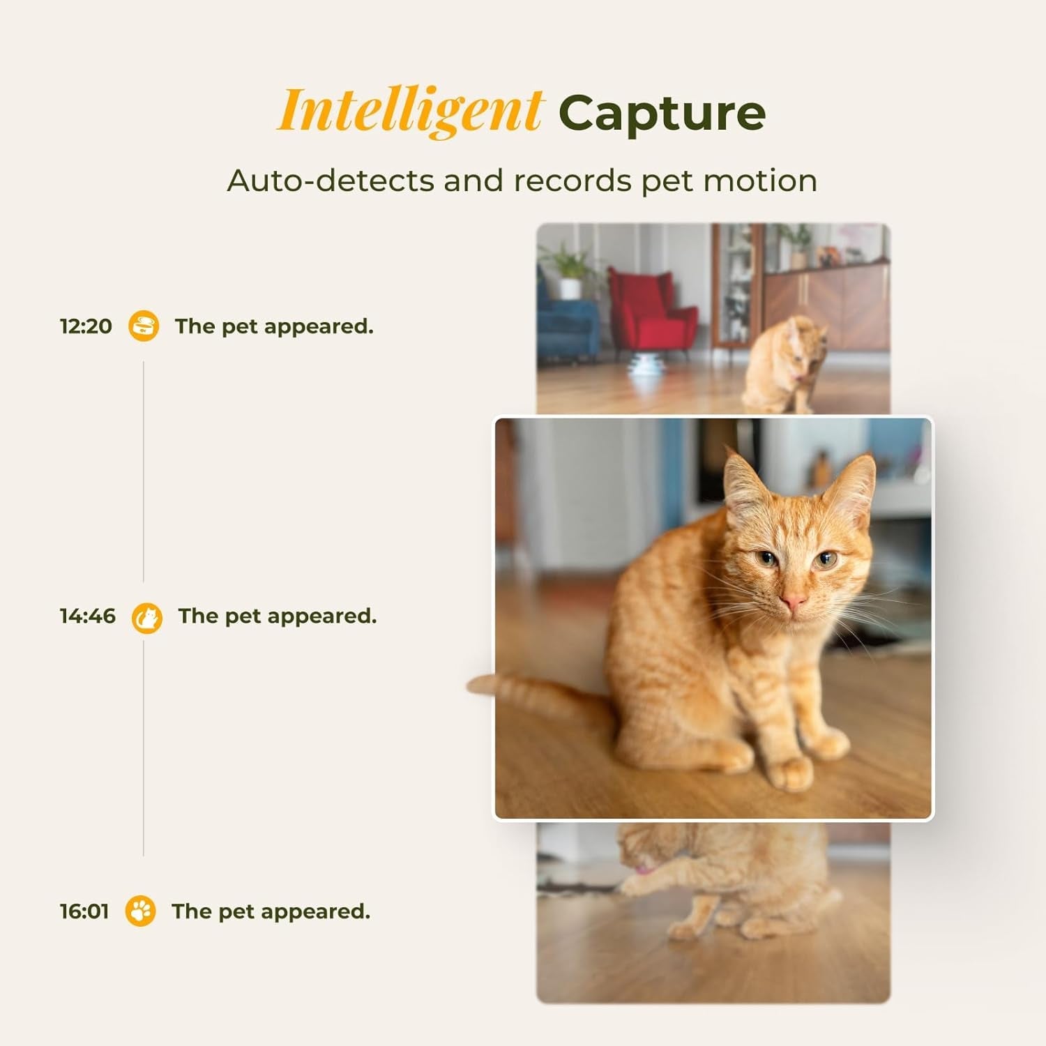arenti-smart-automatic-cat-feeder-and-water-fountain-4l-pet-feeder-cat-food-dispenser-with-camera-dual-power-app-control-live-view-night-vision-meal-call-hygienic-water-flow-desiccant-bag