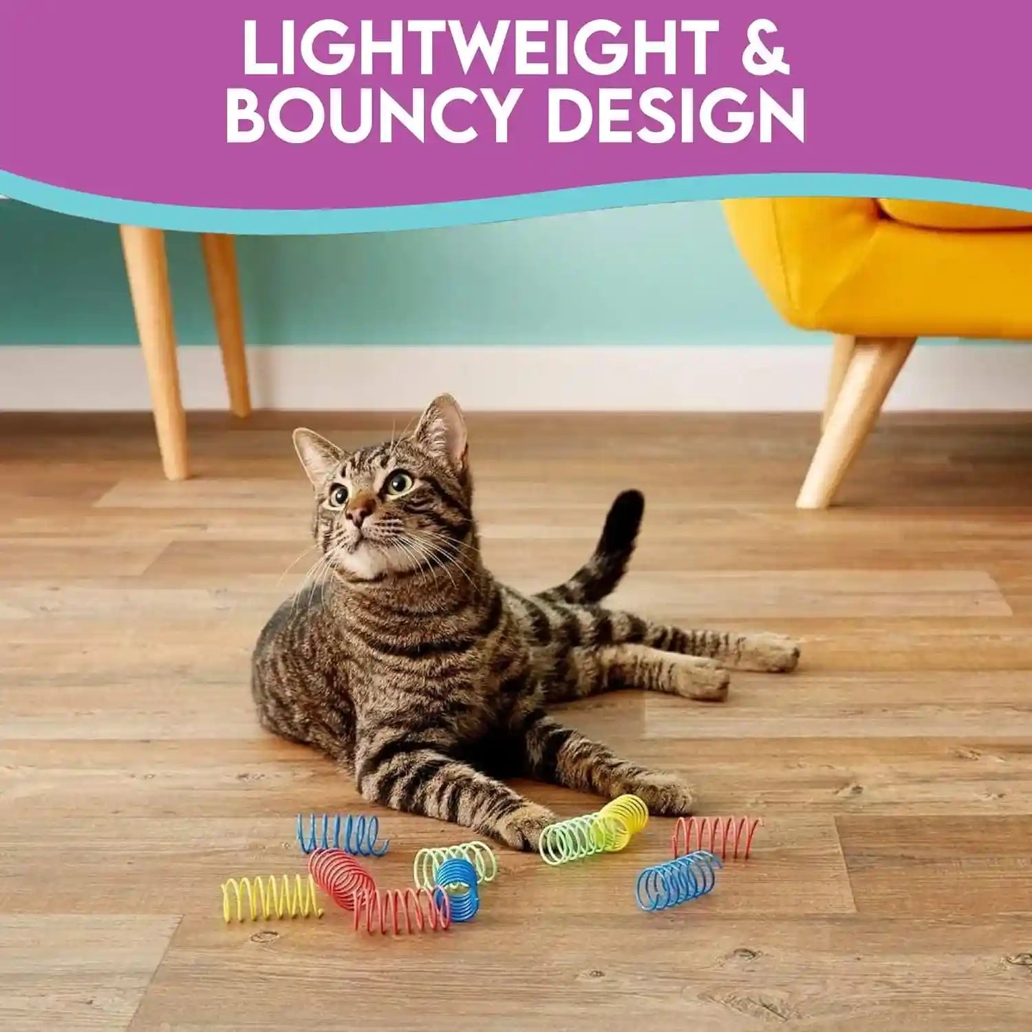 spot-colorful-springs-cat-toys-3-bouncy-coils-for-indoor-cats-kittens-to-swat-chase-bite-safe-lightweight-plastic-interactive-enrichment-toys-10-pack-multi-color