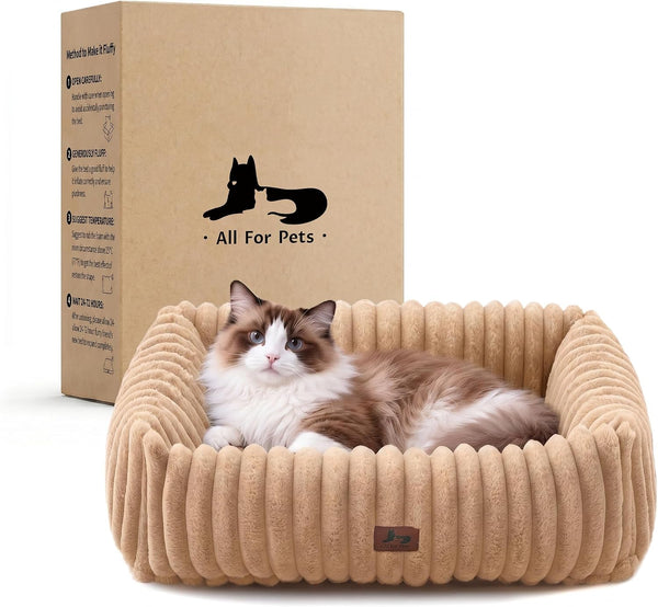 Cute Dog Bed for Small Dogs & Cats,Washable Fluffy Cat Beds for Indoor Cats, Rectangle Orthopedic Memory Foam Puppy Beds with Anti-Slip Bottom, 20 X19 X 7 Inches, Cream(20X19X6Inchs)24