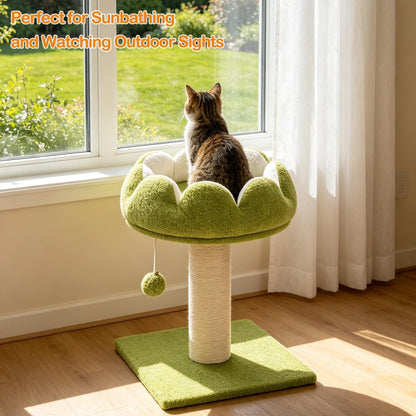 Flower Cat Scratching Post for Indoor Cats Scratcher with Bed | Comfortable & Removable Perch, Cute Cat Tree with Dangling Ball, Sisal Scratching Post, Simple Assembly & Stability5