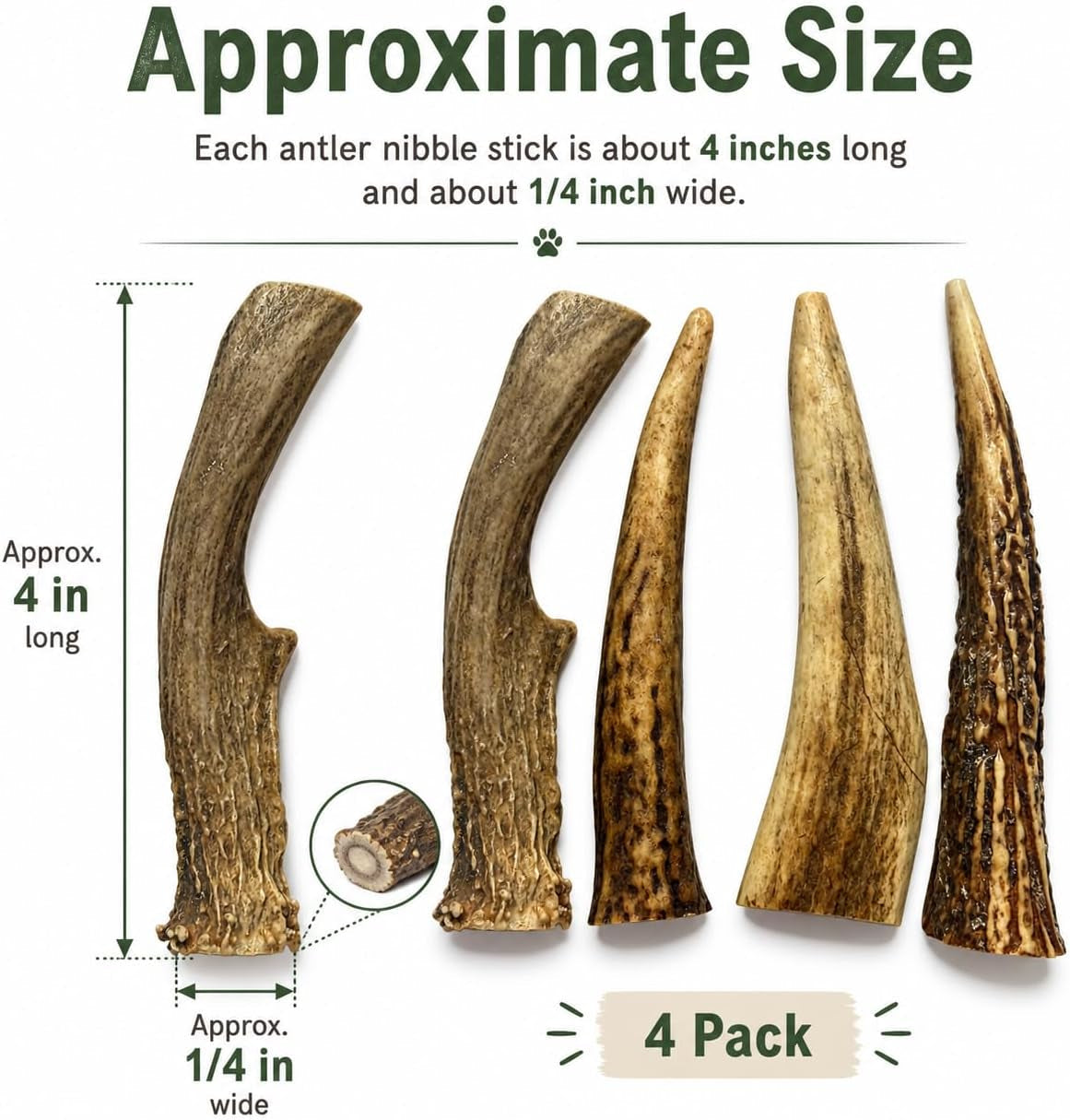 whitetail-naturals-small-animal-antler-chews-4-pack-gnaw-stick-toys-for-squirrels-hamsters-gerbils-guinea-pigs-rats-degus-prairiedogs-chinchilas-rabbits-calcium-minerals-not-for-dogs