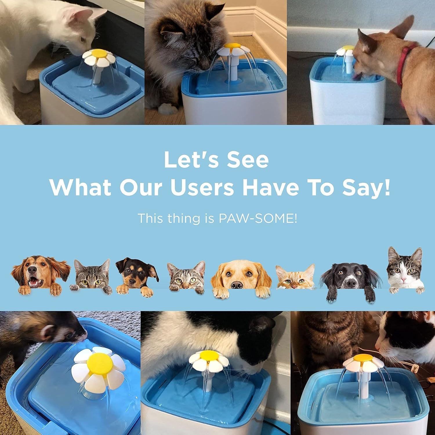 ciays-cat-water-fountain
