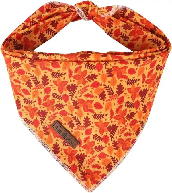 Lionet Paws Dog Bandana for Small Medium Large Dogs, Cat Kerchief Blue DOIT, Triangle Bibs Scarf for Girl or Boy37