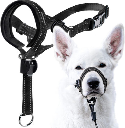 Goodboy Dog Head Halter with Safety Strap - Stops Heavy Pulling on the Leash - Padded Headcollar for Small Medium and Large Dog Sizes - Head Collar Training Guide Included (Size 2, Black)1