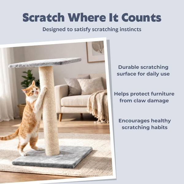 TRIXIE Espejo Cat Scratching Post 27.2 Inch - Cat Scratcher with Soft Fabric Covering Base and Durable Sisal Rope - with Resting Platform - Gray3