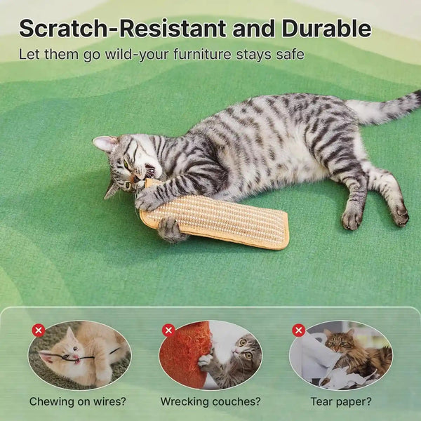 Potaroma Cat Toys Pack of 2 with 6000Mg A+ Organic Catnip, Sisal Material | Indoor Kitten Scratching and Kicker Toys, Drives Bored Cats Crazy with Fun Interactive Chew6