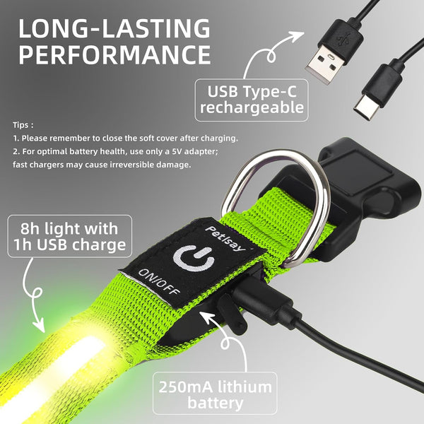 Super Bright LED Dog Collar, Waterproof Light up Collars(Green, Medium) | Lighted Dog Collar with Adjustable Fit, Soft Nylon Comfort, USB-C Rechargeable, Glow in the Dark Visibility for Night Walks6
