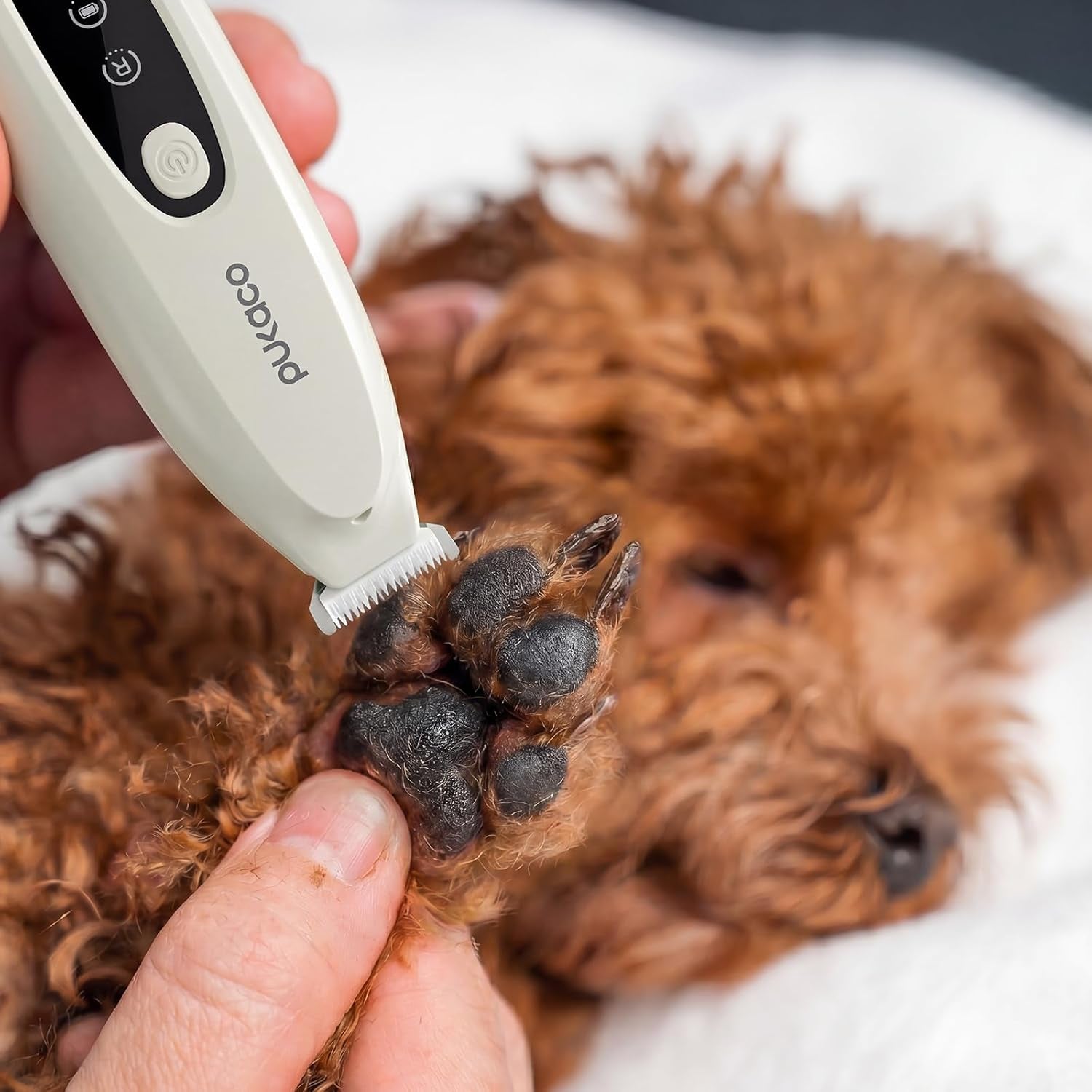 upgraded-mini-dog-paw-trimmer-with-led-light-low-noise-small-pet-hair-trimmer-18mm-wide-curved-blade-35db-cordless-waterproof-pet-paw-grooming-clippers-for-dogs-cats-paws-ears-face-rump