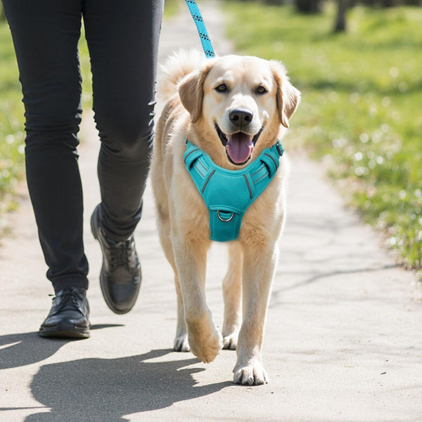 BARKBAY No Pull Dog Harness Large Reflective Dog Harness with Front Clip and Easy Control Handle for Walking Training Running with ID Tag Pocket(Ocean Blue,L)9