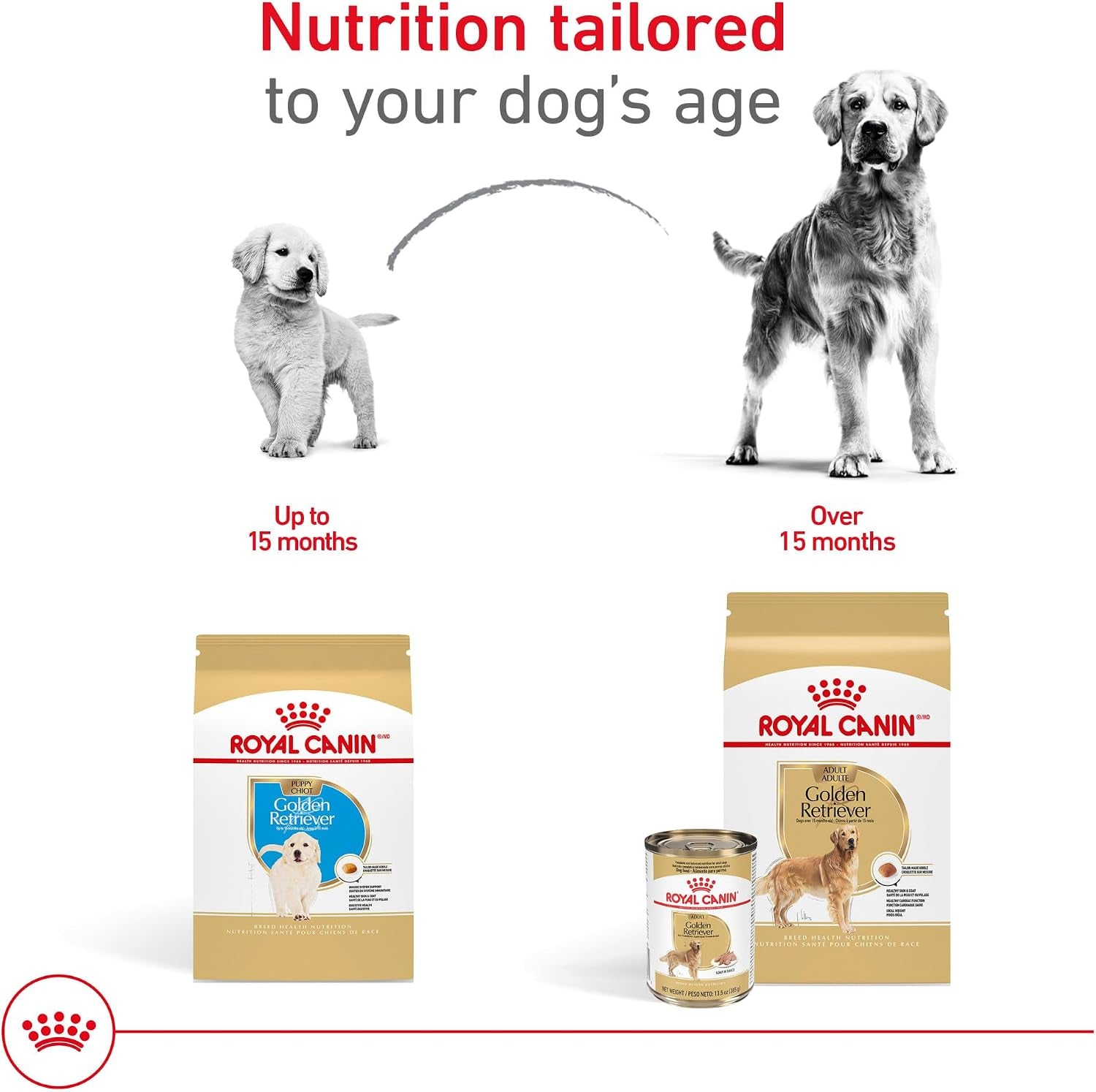 royal-canin-breed-health-nutrition-golden-retriever-puppy-dry-dog-food-30-lb-bag-specialized-nutrition-for-growth-supports-healthy-skin-and-coat-antioxidant-rich-recipe-30-pound-bag