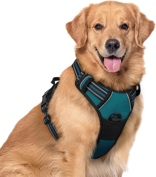 Rabbitgoo Dog Harness, No Pull for Large Dogs with 2 Leash Clips, Pet Vest | No Choke with Handle, Adjustable Soft Padded, Reflective, Easy Control for Walking, Black, Large46