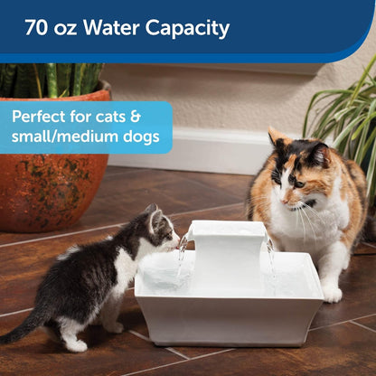 Petsafe Drinkwell Pagoda Fountain, Filters Included, 70 Oz Ceramic, White | 2 Free-Falling Water Streams Encourage Hydration, Pet Fountain for Cats & Small Dogs, Replaceable Carbon & Foam Filters3