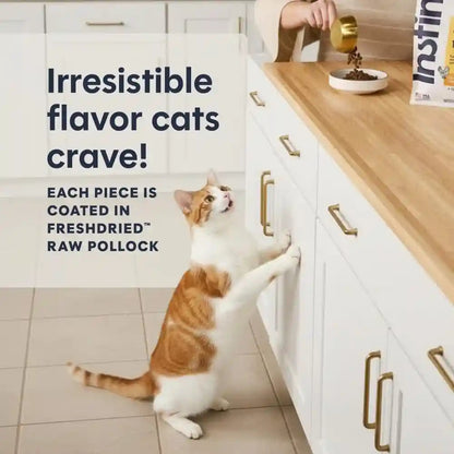 Instinct Original Dry Cat Food, Raw Coated Kibble, Real Chicken, 5 Lb. Bag | Raw-Coated Kibble with Cage-Free Chicken for Strong Muscles, Digestive Health, and Healthy Skin & Coat, Grain-Free4
