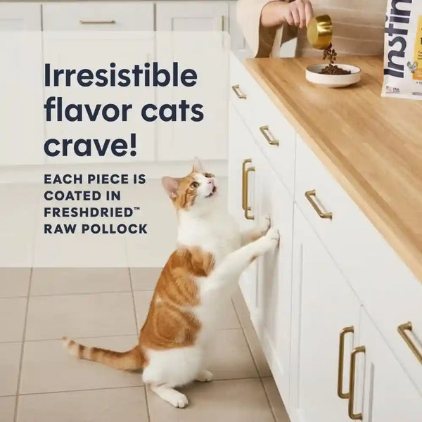 Instinct Original Dry Cat Food, Raw Coated Kibble, Real Chicken, 5 Lb. Bag | Raw-Coated Kibble with Cage-Free Chicken for Strong Muscles, Digestive Health, and Healthy Skin & Coat, Grain-Free4