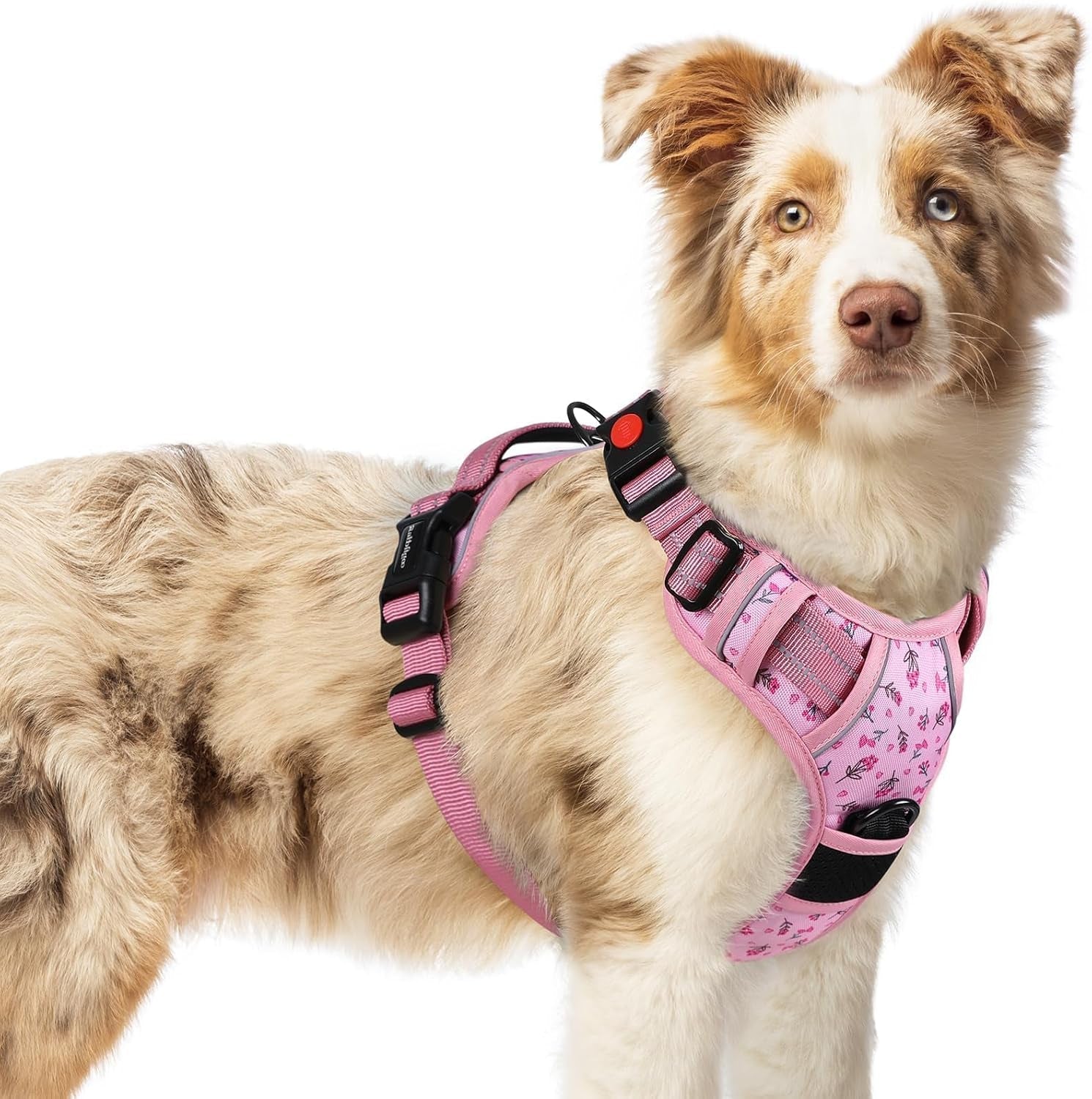 rabbitgoo-dog-harness-medium-sized-updated-easy-on-off-with-3-buckles-no-pull-no-choke-walking-with-2-clips-and-handle-adjustable-soft-reflective-blue-medium