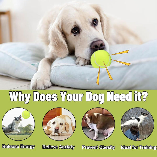 Magicorange Dog Tennis Balls, 20 Pack 2.5 Inch Squeaky Tennis Balls | Floatable Squeaky Dog Balls for All Breed Dogs,Natural Rubber,Colorful Easy Catching Multicolor,With Mesh Bag3
