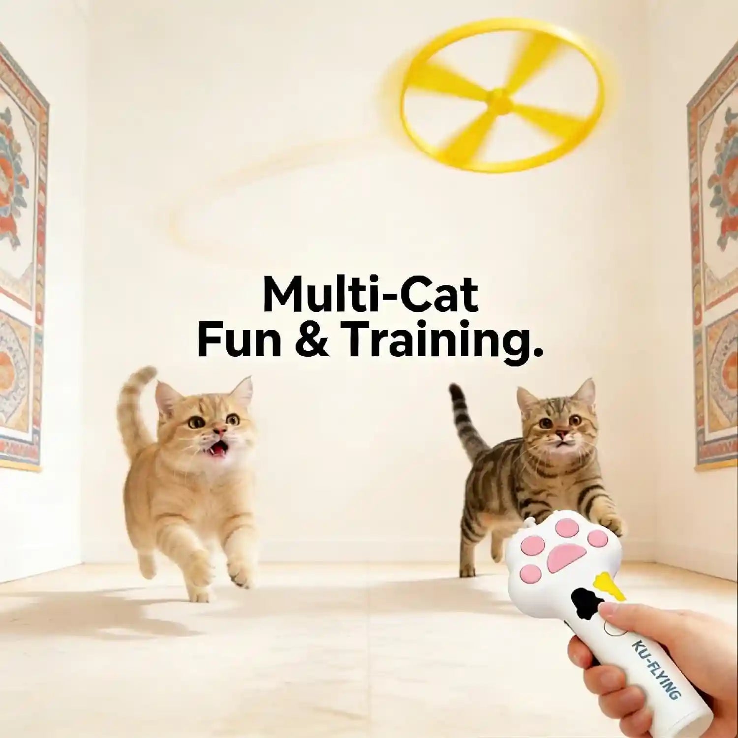cat-fetch-toy-launcher-with-10-soft-flexible-discs-cat-toys-for-indoor-cats-led-glowing-launcher-electric-interactive-kitten-toy-for-hunting-exercise-usb-rechargeable