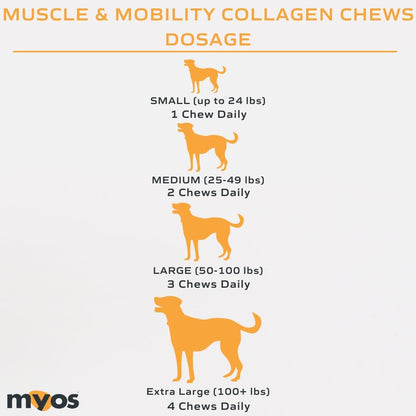 MYOS Canine Muscle & Mobility Chews – Collagen & Glucosamine for Dogs - Bacon Flavor Joint Supplement for Muscle, Bone & Joint Support, 60 Count7