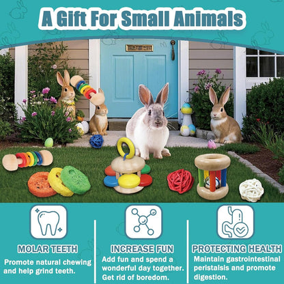 QWR 9PCS Wooden Bunny Toys,Safe Rabbit & Guinea Pigs Teeth Grinding Toy for Chinchillas, Hamsters & Small Animals - Indoor & Outdoor5