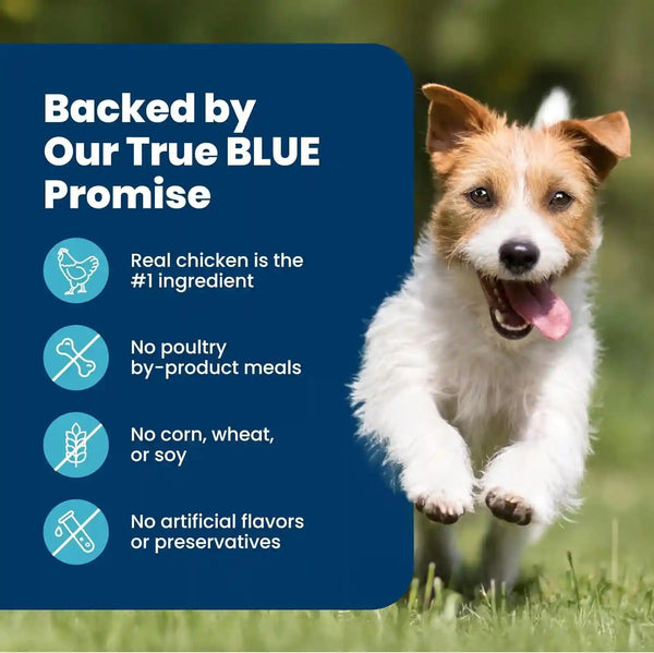 Blue Buffalo Life Protection Formula Chicken Small Breed Dry Dog Food, 5 Lb | Real Chicken #1 Ingredient, Antioxidant-Rich Lifesource Bits, Supports Higher Energy Needs, Formulated for Small Breed Dogs7