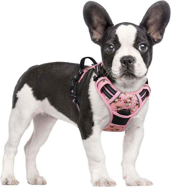 Rabbitgoo Dog Harness, No Pull for Large Dogs with 2 Leash Clips, Pet Vest | No Choke with Handle, Adjustable Soft Padded, Reflective, Easy Control for Walking, Black, Large40