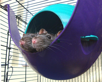 Lixit Critter Space Pod, Perfect for Small Animals, Large6