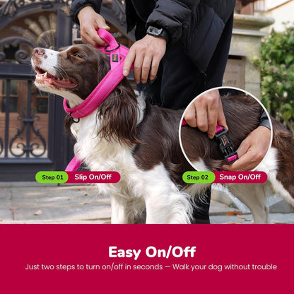 Didog No Pull Dog Harness for Small Dogs, Breathable Mesh Padded,Hot Pink,S | Quick Fit, Easy on and Off, Lightweight, Reflective Vest Harness for Night Safty, Easy for Walking and Training, Chest 18-22"4