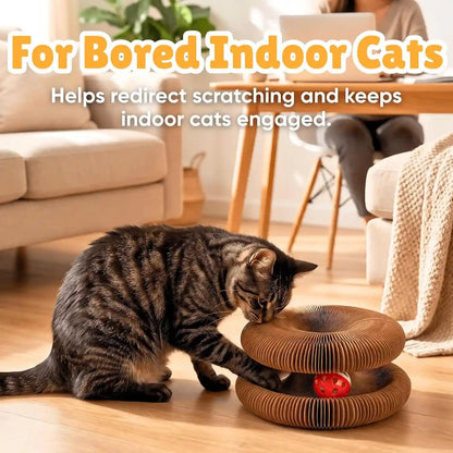 KITTY KURLZ Interactive Cat Toy & Cardboard Cat Scratcher | Collapsible Ball Track with Bell, for Indoor Cats, Reversible Scratch Ring, Play, Chase and Lounge8