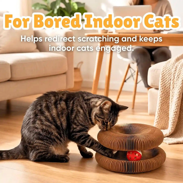 KITTY KURLZ Interactive Cat Toy & Cardboard Cat Scratcher | Collapsible Ball Track with Bell, for Indoor Cats, Reversible Scratch Ring, Play, Chase and Lounge8