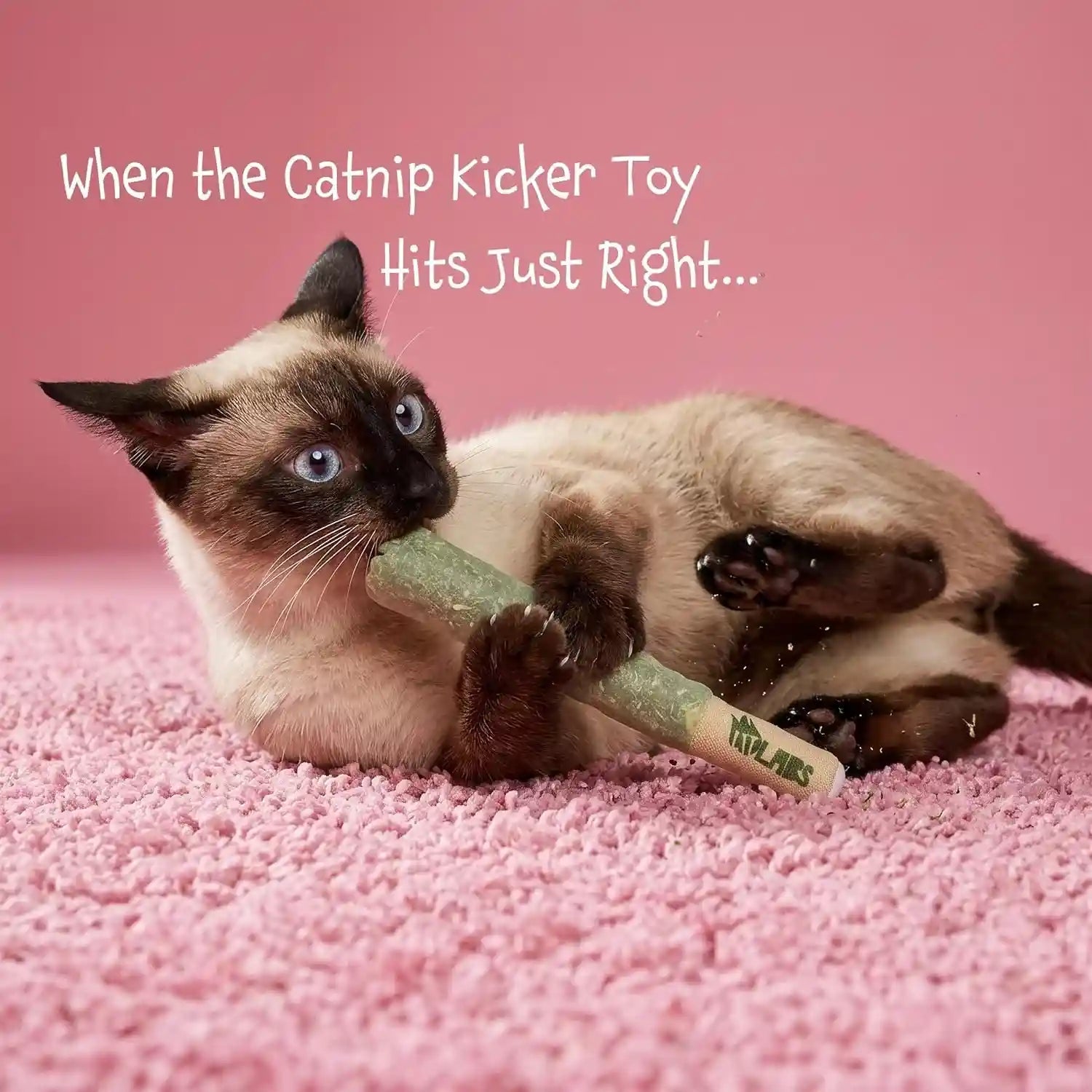 lit-labs-cat-doobie-3-pack-catnip-toys-for-cats-funny-cat-toys-safe-kitten-teething-chew-and-kicker-toys-stress-relieving-indoor-cat-gifts-that-hit-different