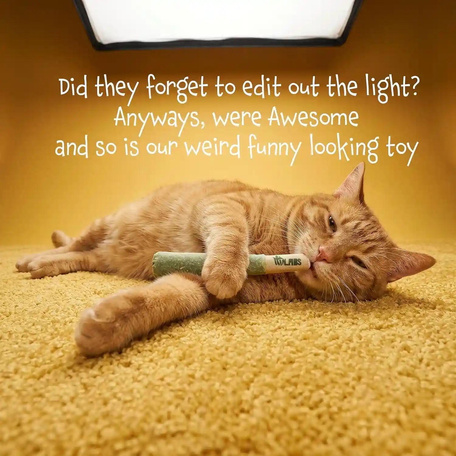 lit-labs-cat-doobie-3-pack-catnip-toys-for-cats-funny-cat-toys-safe-kitten-teething-chew-and-kicker-toys-stress-relieving-indoor-cat-gifts-that-hit-different