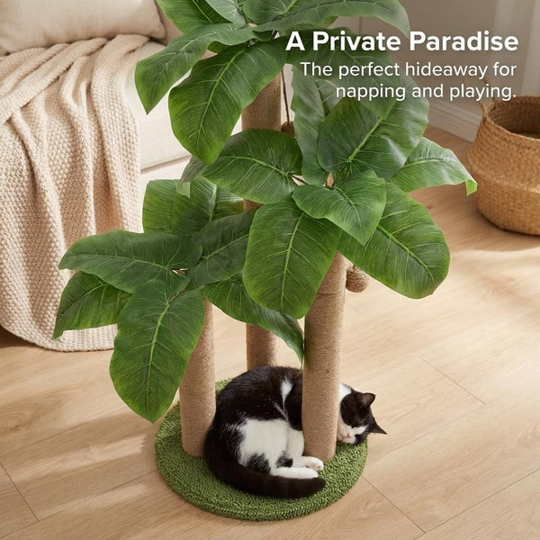 LEMONDA 31.5Inch Cat Scratching Post,Cat Scratcher Tree with 3 Scratching Poles & 2 Interactive Dangling Balls,Cats Scratching Posts for Indoor Kitten & Adult Cats | Cat Scratcher Tree, 3 Scratching Poles, Cat Scratching Posts,2 Interactive Dangling Balls, for Indoor Kitten & Adult Cats6