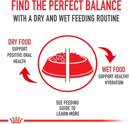 ROYAL CANIN Size Health Nutrition Small Adult Dry Dog Food, 14 Lb Bag8