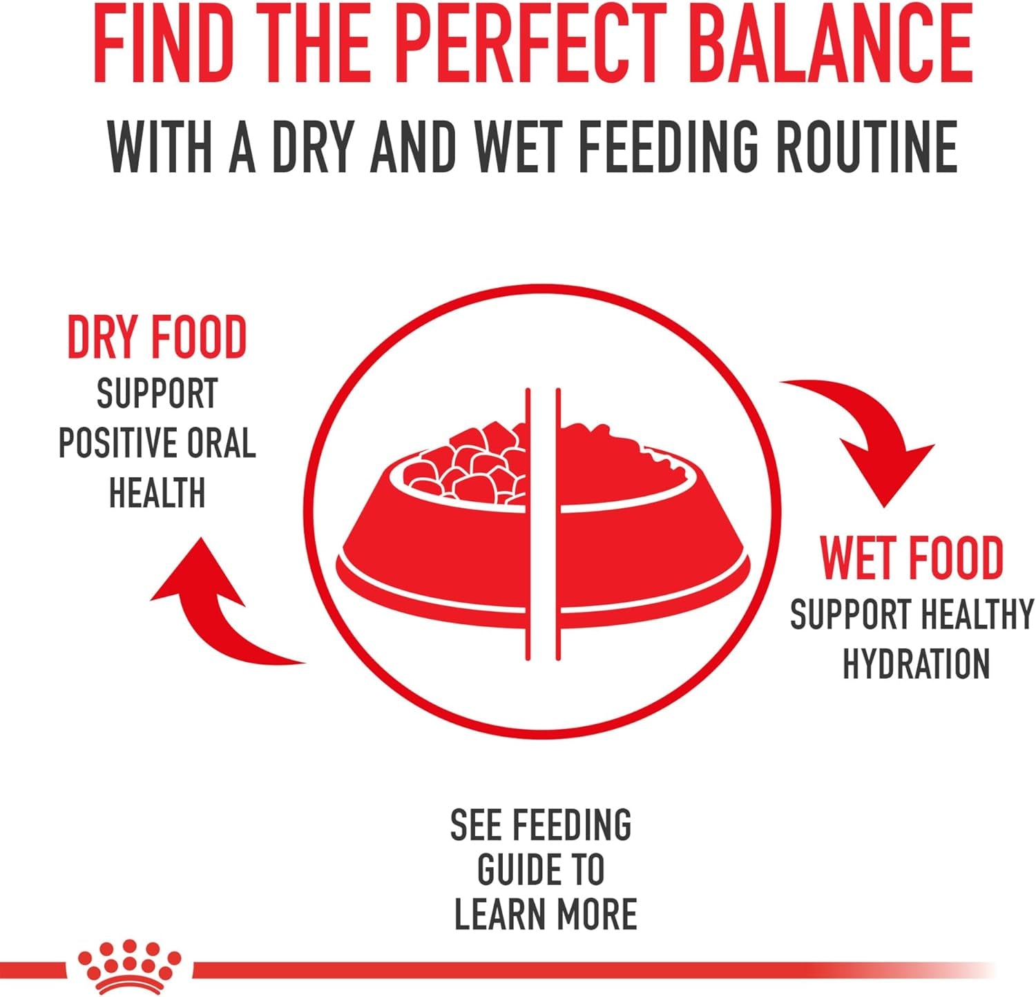 royal-canin-canine-health-nutrition-adult-in-gel-dog-food-13-5-oz-pack-of-12