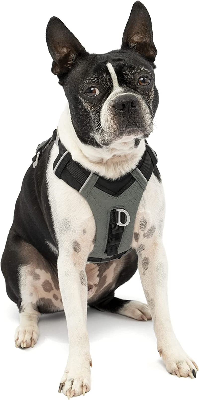 kurgo-journey-air-dog-harness-blue-small-padded-chest-ripstop-outer-breathable-mesh-back-assist-handle-rust-free-aluminum-hardware-reflective-trim