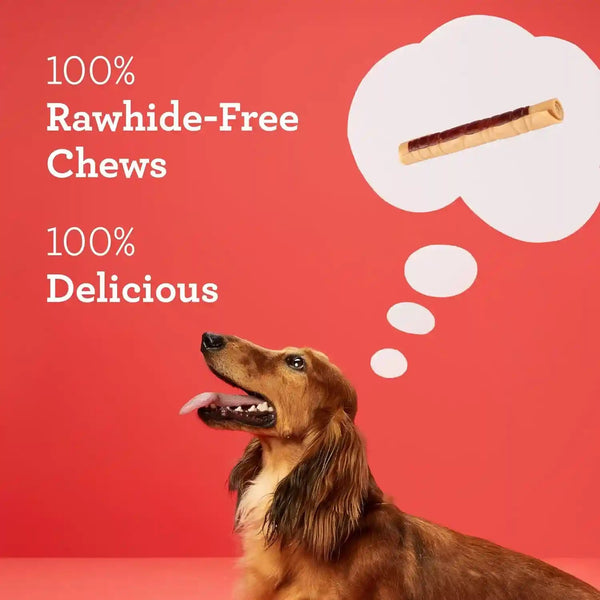 Dreambone Chicken Wrapped Mini Stick Dog Treats, Daily Rawhide-Free Chew, Digests Safely and Completely, with Real Protein, Chicken and Veggies, 15 Count3