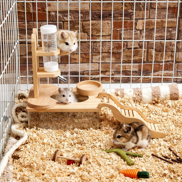 4 Pcs Hamster Cage Accessories Water Bottle Set,Rectangle | Hamster Sand Bath Box Feeding Bowl Climbing Toy Wooden Ladder Bridge Set for Rat Mice Small Animals Habitat Decor Enrichment2