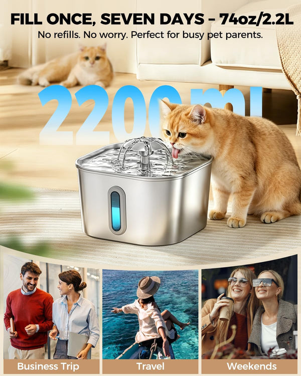 Cat Water Fountain Stainless Steel 74Oz/2.2L with 3 Filters & 3 Sponges | Indoor Pet Water Dispenser-Automatic Silent Small Dog Fountains for Drinking-Auto Metal Watering Bowls-Gifts for Kitty Animal2