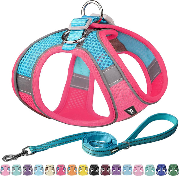 AIITLE No Pull Dog Harness and Leash Set, Step in Adjustable Dog Harness with Padded Vest for All Weather, Dog Leash with Soft Padded Handle, Easy to Put on Small and Medium Dogs Beige S19