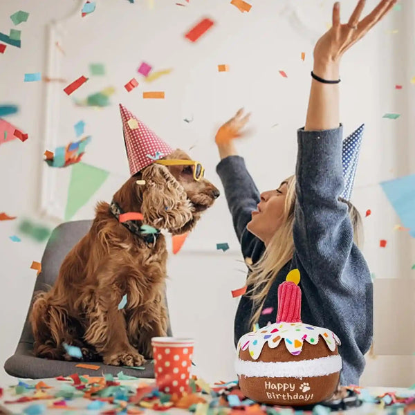 Lilfrd Dog Birthday Toy, Birthday Cake Toys for Puppy Gifts, Squeaky Plush Dog Toys5